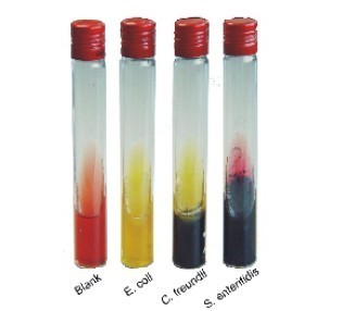 磷酸烯醇丙酮酸单钾盐 上海雅吉生物科技的高品质生化试剂解析